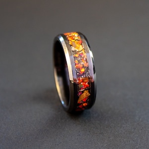 Velociraptor Dinosaur Bone Ring and Gibeon Meteorite Ring made with Meteorite and Dinosaur Bone image 5