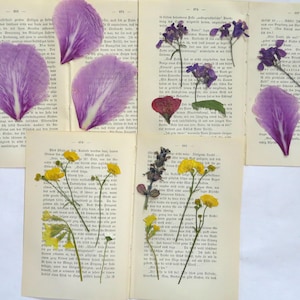 Fleurs sauvages/feuilles pressées + 6 pages de vieux livres pour journal indésirable, embellissement d'éphémères de scrapbooking