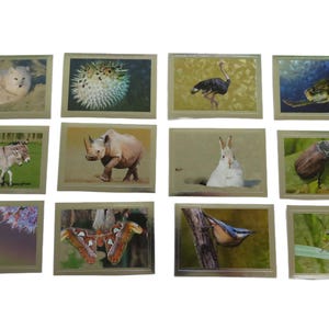12 Panini Trading Cards Silver Stickers "Adventure Animal World", Junk Journal Scrapbooking Ephemera Tags, Embellishment