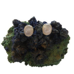 May include: A pair of oval-shaped earrings with a white, translucent stone set in a gold-toned metal setting. The earrings are displayed on a dark green and blue rock.