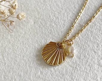 Pearl Seashell Necklace, Dainty Gold Shell Necklace, Scallop Necklace, Mermaid Jewelry, Beach Jewelry for Women, Ocean Lover Gift for Her