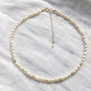 Rice Pearl Choker, Ivory Pearl Choker Beaded Necklace, Dainty Boho Short Necklace, Fresh Pearl Gold Necklace, Bridal Jewelry, Bride Gift