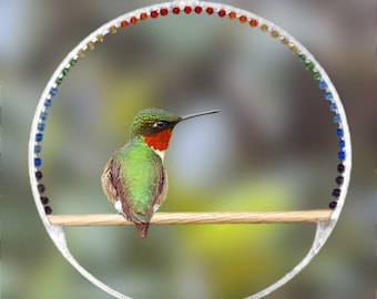 Humming Bird Swing | Bird Pearch | Glass Bead Sun Catcher | 3d Printed Frame