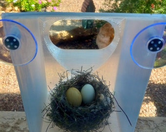 Window Bird Nest Box | Nest Watching | Open Back Bird House | Finch Nest