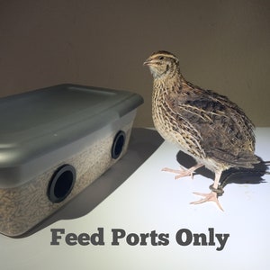 Quail Feeder Ports | Feed Saver | Heavy Duty | [Ports & Snap Rings Only] | Caps Available