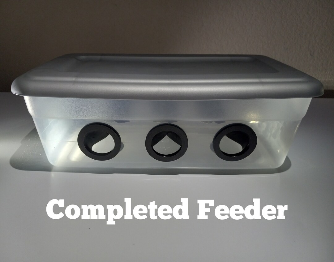 Quail Feeder Box Preassembled 6 Ports Made in USA Etsy