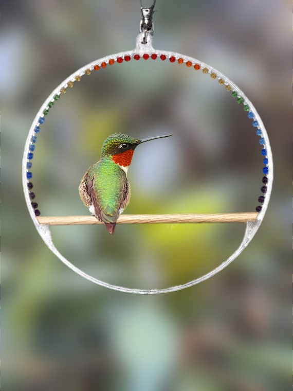 Humming Bird Swing | Bird Pearch | Glass Bead Sun Catcher | 3d Printed Frame
