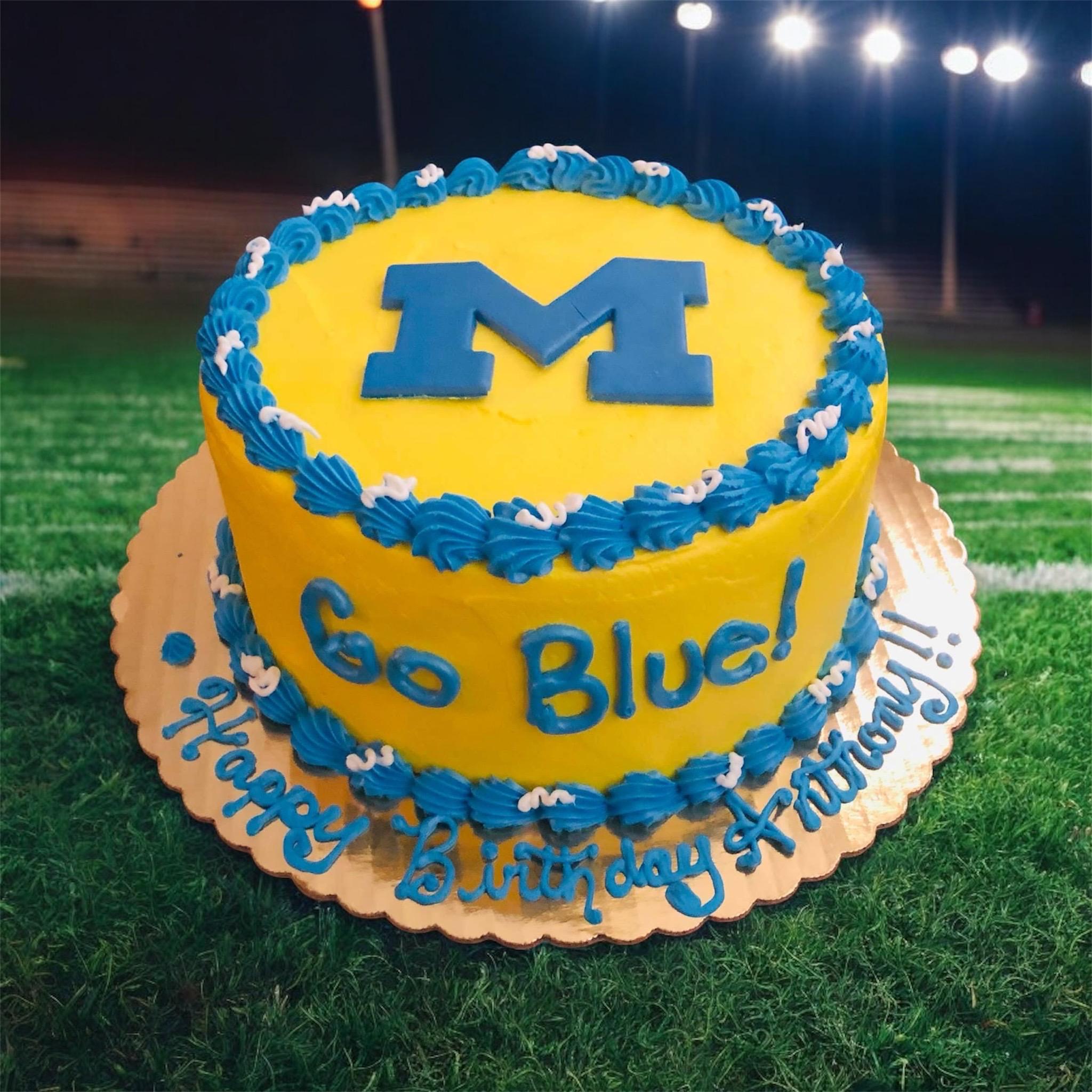 Michigan Cake University of Michigan Cake - Etsy