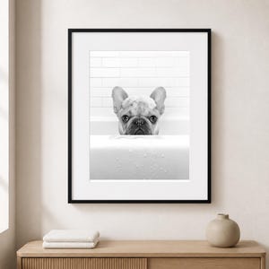 Puede incluir: Una impresi&oacute;n de arte mural enmarcada en blanco y negro que muestra a un bulldog franc&eacute;s con burbujas de jab&oacute;n en la cabeza, asom&aacute;ndose por el borde de una ba&ntilde;era blanca. El fondo muestra azulejos blancos y gotas de agua en la ba&ntilde;era.