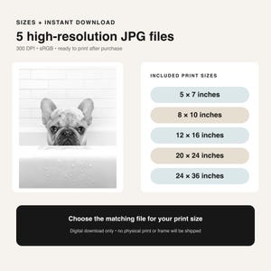 Puede incluir: Una descarga digital con una fotograf&iacute;a en blanco y negro de un bulldog franc&eacute;s en una ba&ntilde;era. El texto incluye 5 archivos JPG de alta resoluci&oacute;n, 300 DPI, sRGB y una lista de tama&ntilde;os de impresi&oacute;n de 12,7x17,8 cm a 61x91,4 cm.