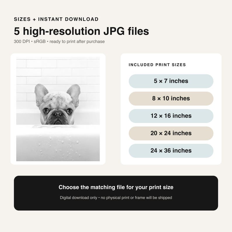 Puede incluir: Una descarga digital con una fotograf&iacute;a en blanco y negro de un bulldog franc&eacute;s en una ba&ntilde;era. El texto incluye 5 archivos JPG de alta resoluci&oacute;n, 300 DPI, sRGB y una lista de tama&ntilde;os de impresi&oacute;n de 12,7x17,8 cm a 61x91,4 cm.