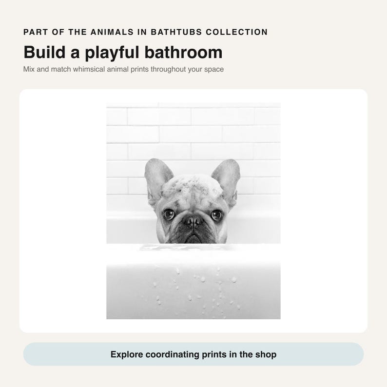 Puede incluir: Una impresi&oacute;n en blanco y negro que muestra a un bulldog franc&eacute;s con espuma de jab&oacute;n en la cabeza, asom&aacute;ndose por el borde de una ba&ntilde;era blanca. El texto dice: PART OF THE ANIMALS IN BATHTUBS COLLECTION, Build a playful bathroom, Mix and match whimsical animal prints throughout your space, Explore coordinating prints in the shop.