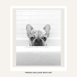 Puede incluir: Una impresi&oacute;n en blanco y negro que muestra a un bulldog franc&eacute;s con espuma de jab&oacute;n en la cabeza, asom&aacute;ndose por el borde de una ba&ntilde;era blanca. El fondo muestra azulejos blancos tipo metro. El texto "FRENCH BULLDOG BATH ART" est&aacute; impreso en la parte inferior.