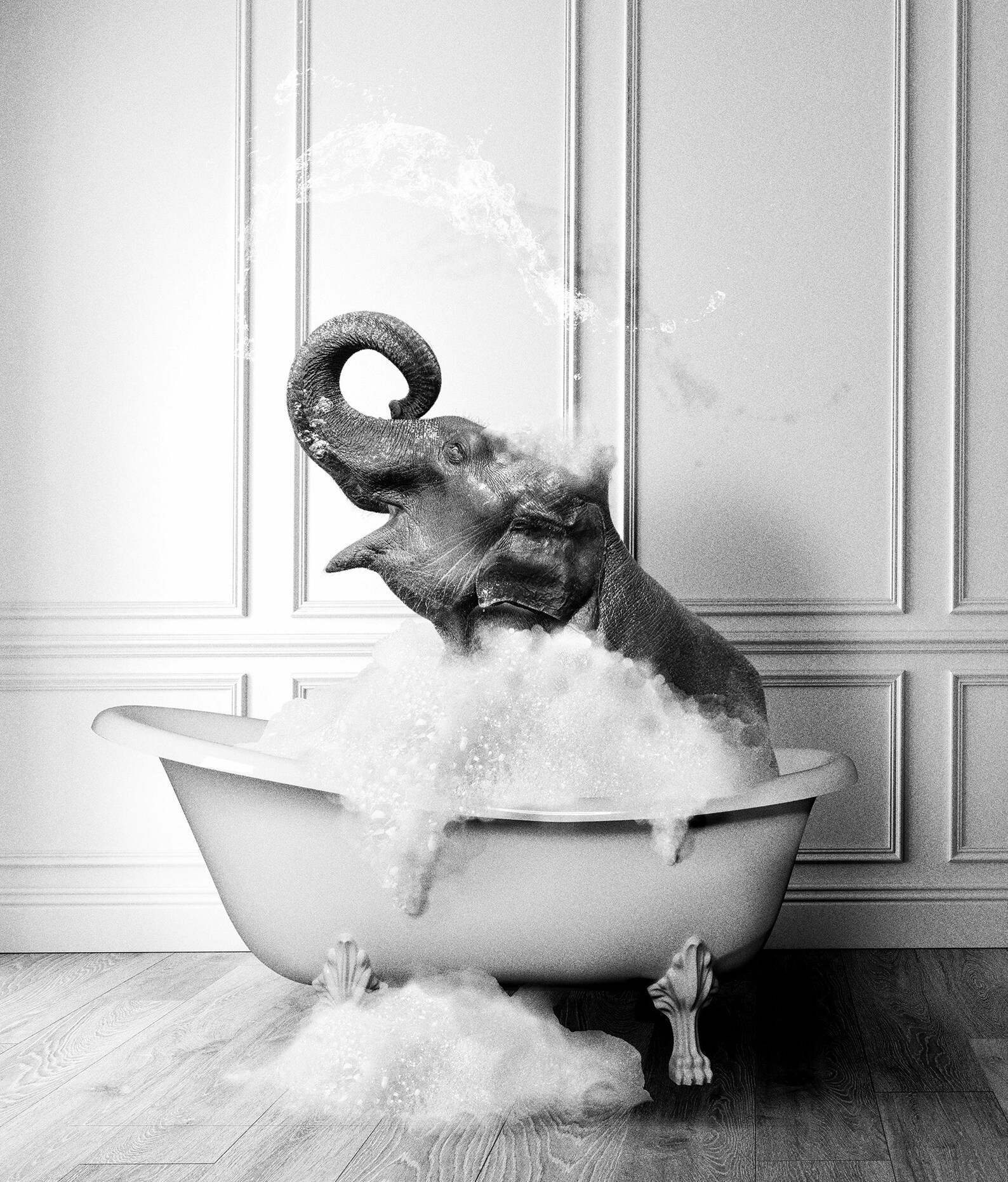 Cute Elephant in Tub Printable Wall Art Elephant Photo Etsy Australia