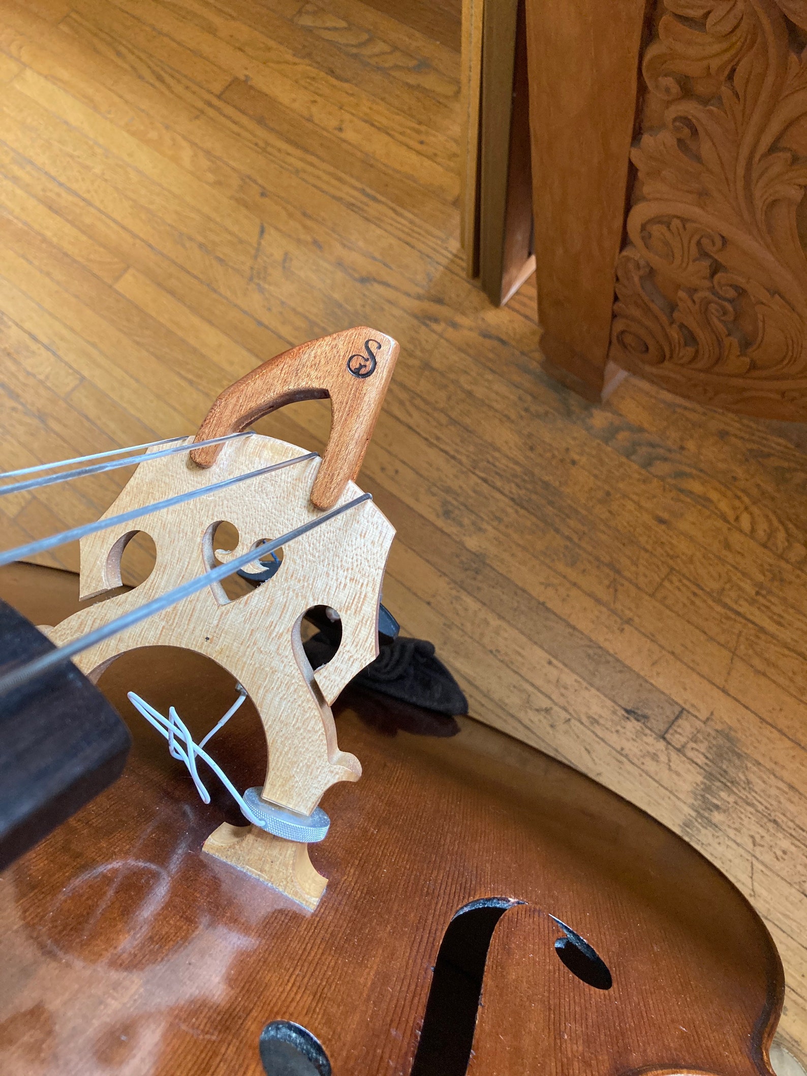 Asymmetrical Double Bass Mute Etsy