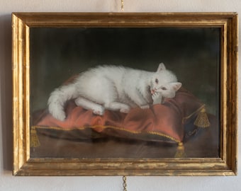 Ancien dessin au pastel original du XIXe siècle représentant un chat blanc - Portrait d'animal de compagnie - Encadré derrière une vitre