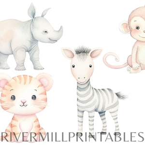12 Cute Baby Jungle Animals Clipart, 300DPI PNG Files, Digital Download ...