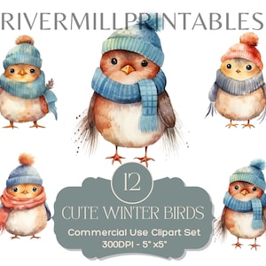 12 mignons oiseaux d'hiver dans des chapeaux des cliparts, des fichiers PNG 300 DPI, téléchargement numérique - licence commerciale - fabrication de cartes - imprimable