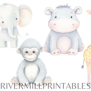 12 Cute Baby Jungle Animals Clipart, 300DPI PNG Files, Digital Download ...