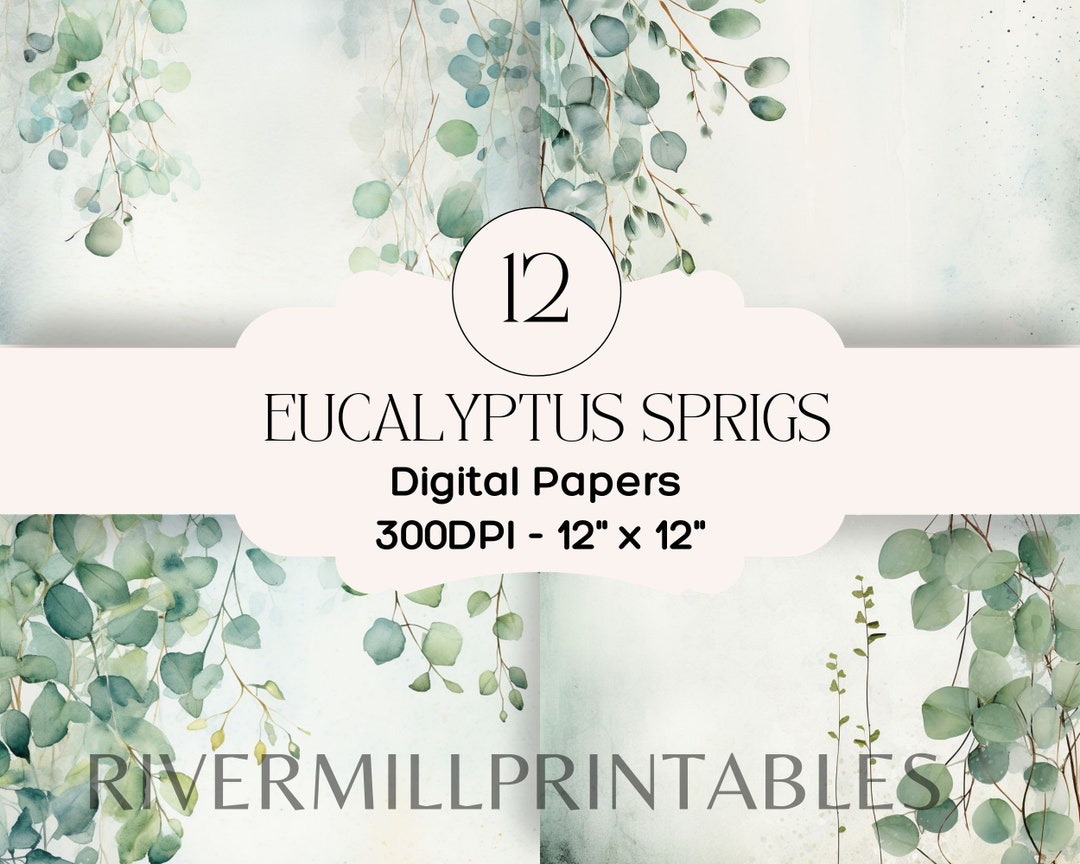12 Eucalyptus Sprigs Printable Papers, 300DPI JPG Files Digital Download Commercial License