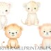12 Cute Baby Jungle Animals Clipart, 300DPI PNG Files, Digital Download ...