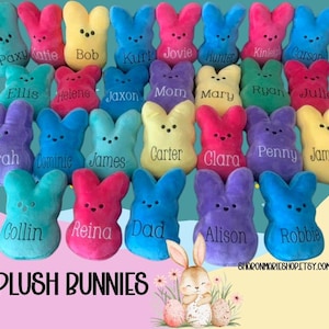 Small Plush Bunny-Squishy-Stuffed Animal-Personalized Easter Basket Stuffer