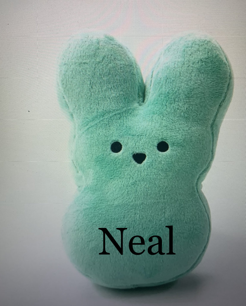 Peep/plush Stuffed Toy/ Peep/easter Plush 5.9 Inch Etsy