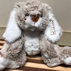 Personalized bunny rabbit, custom plushie, embroidered baby shower gift, bunny with name on ear, Easter bunny gift