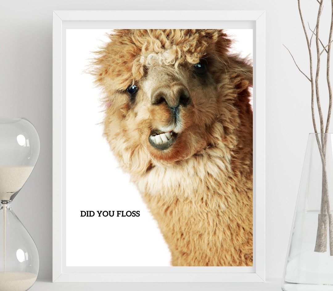 Did You Floss Funny Printable Bathroom Art, Printable Wall Art, Dental ...