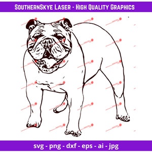 Bulldog svg, png, ai, dxf, jpg file. Great for glowforge, cricut and silhouette as well as laser and CNC engraving