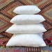 see more listings in the All SIZE PILLOW INSERTS section