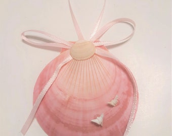 Set of 4 Details about   Pink Moon Shells Ornamentts 
