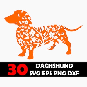 Dachshund svg bundle - dachshund silhouette - floral dachshund png - dog svg bundle