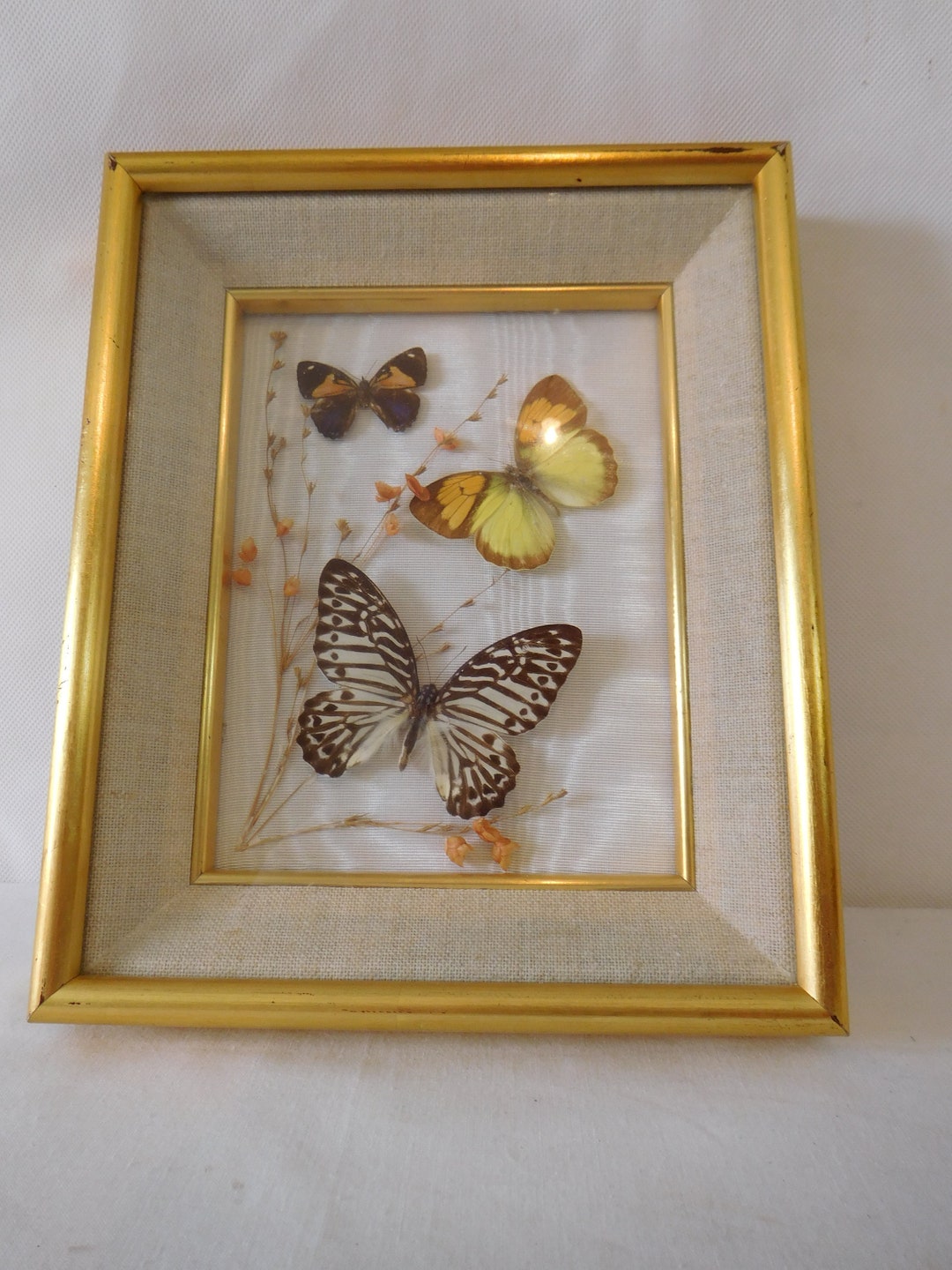 French Vintage Framed Butterfly Wall Picture / French Decor / Wall Art ...