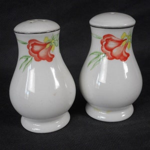 vintage French porcelain decorative salt and pepper pots / tableware