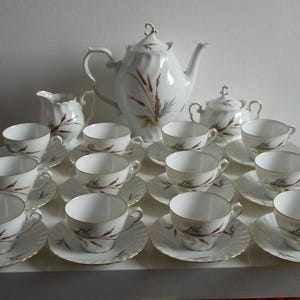 Rare vintage 1960s Rheinpfalz Hartporzellan 27 piece tea / coffee set