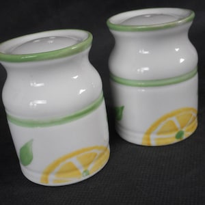 vintage French porcelain decorative salt and pepper pots