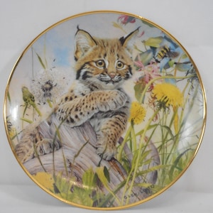 vintage Franklin Mint Limited Edition porcelain decorative Cat plate stamped