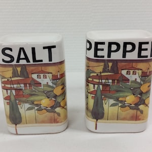 Pair of vintage ceramic salt and pepper pots