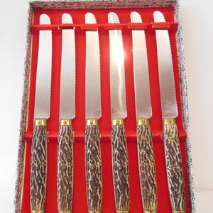 set di 6 coltelli da tavola francesi d&#39;epoca con manici in plastica nella scatola originale