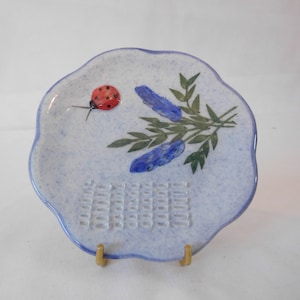 vintage French Hand painted ceramic Garlic grater / kitchen utensils / kitchenware