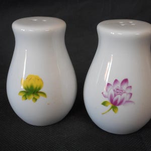 vintage French porcelain decorative salt and pepper pots / tableware