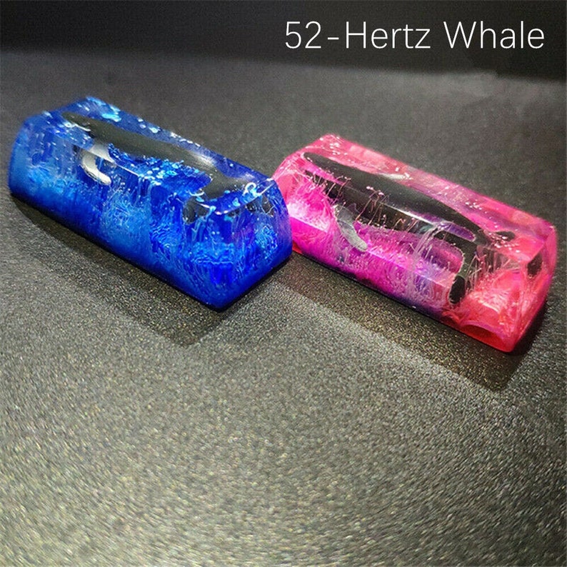 52 hertz whale 52 hertz whale