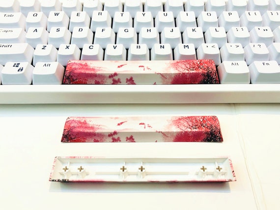 6 25x Spacebar Keycap Sakura Pink Flower Painting Colorful Etsy