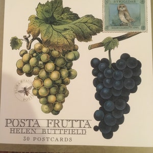 Künstlerische abwechslungsreiche Postkarte(30) Satz von Früchten und Pflanzen mit handbemalten Briefmarken