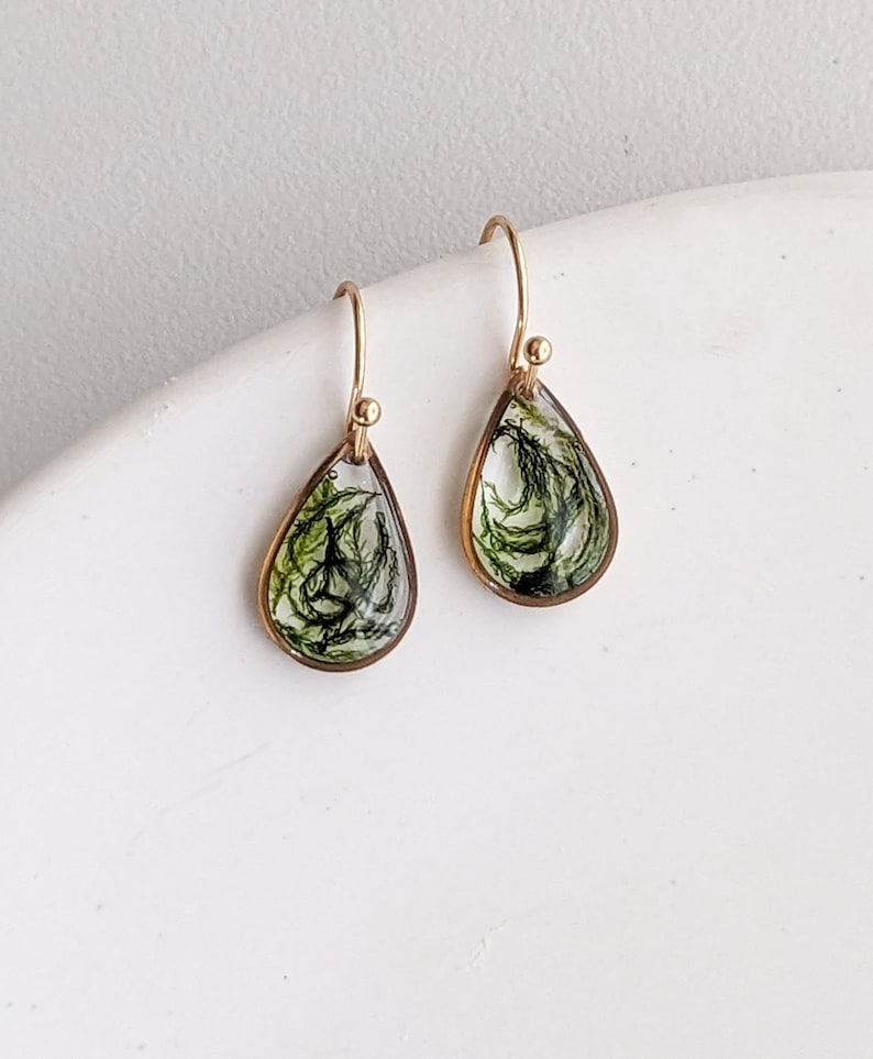 Real Dried Moss Earrings real preserved moss, cottagecore nature inspired gold earrings image 1