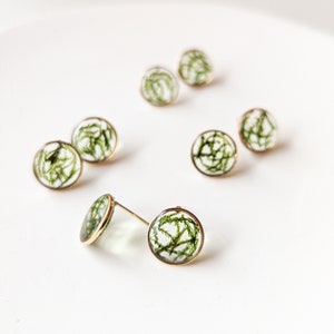 Real Dried Moss Circle Stud Earrings - gold studs - nature earrings - cottage core jewelry - Preserved Moss