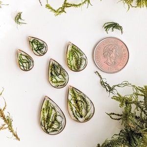 Real Dried Moss Earrings real preserved moss, cottagecore nature inspired gold earrings image 6