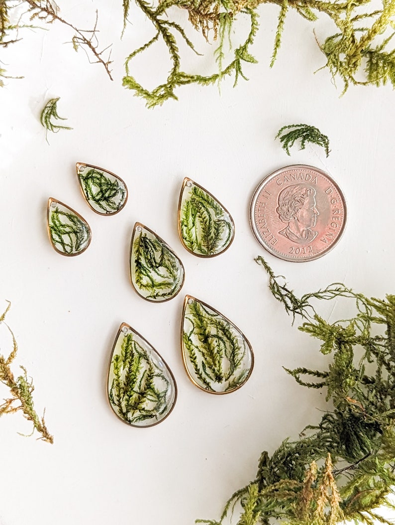 Real Dried Moss Earrings real preserved moss, cottagecore nature inspired gold earrings image 6