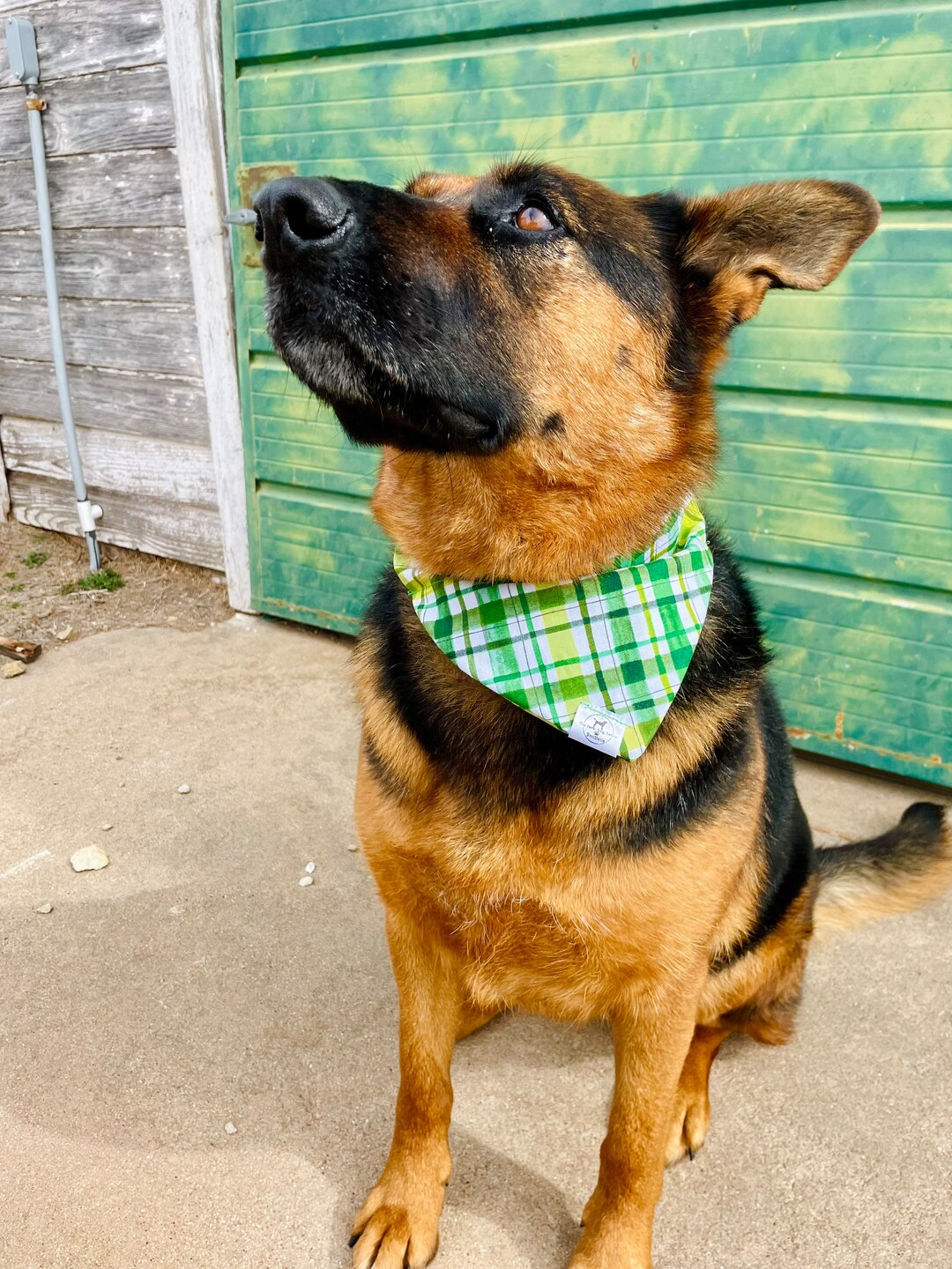 Green Plaid Bandana/saint Patricks Day Bandana/plaid Dog Bandana/green